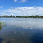 Danina