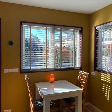 Danina サッセンハイム