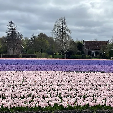 Danina 住宿加早餐酒店