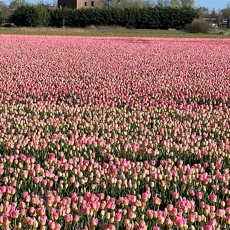 ベッド・アンド・ブレックファスト Danina サッセンハイム