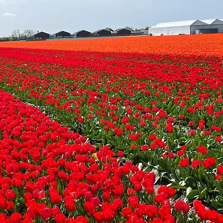 Danina 住宿加早餐酒店 萨森海姆