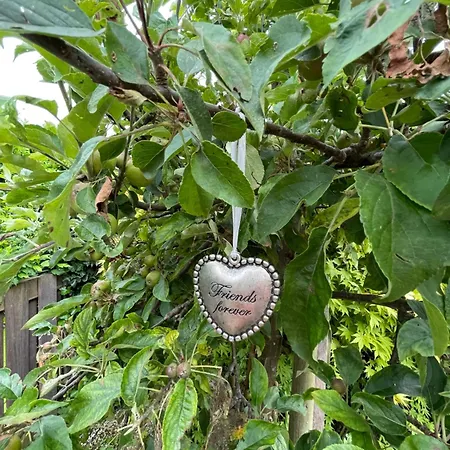 Danina サッセンハイム