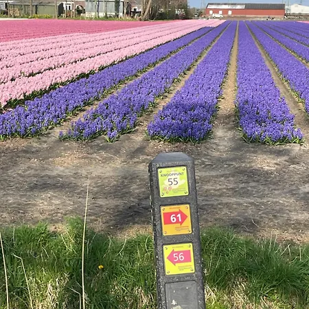 ベッド・アンド・ブレックファスト Danina