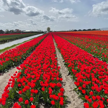 ベッド・アンド・ブレックファスト Danina 3*