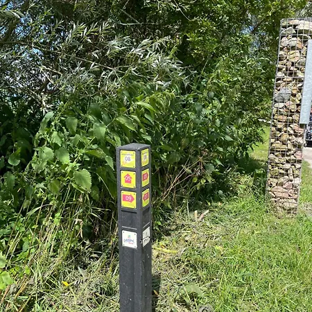 Danina サッセンハイム