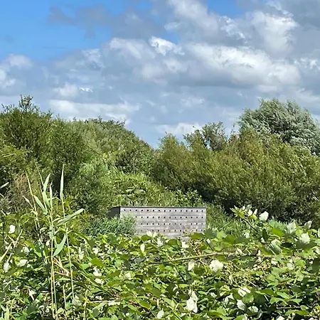 ベッド・アンド・ブレックファスト Danina