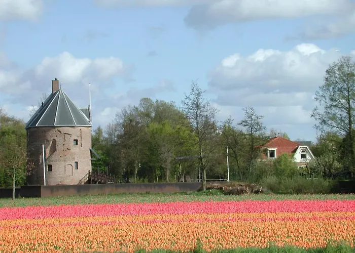 Couette-café Danina