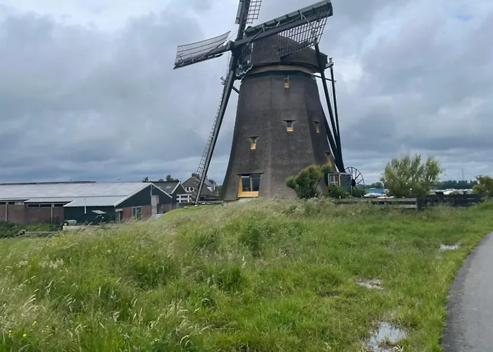 Danina Bed & Breakfast Sassenheim