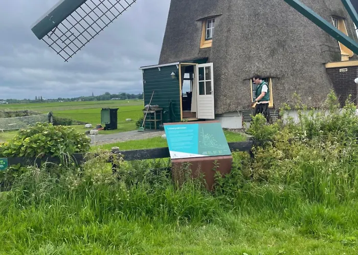 Danina Couette-café Sassenheim