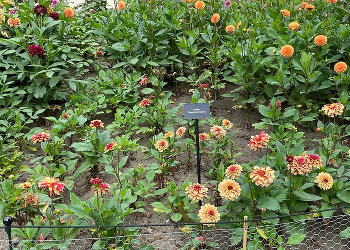 Danina 3* Sassenheim