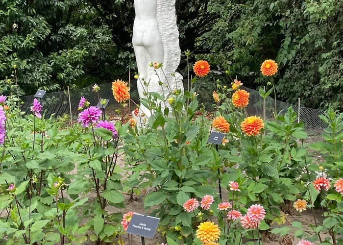 Danina Bed & Breakfast