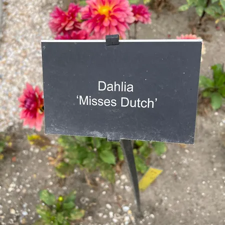 Danina Bed & Breakfast *
