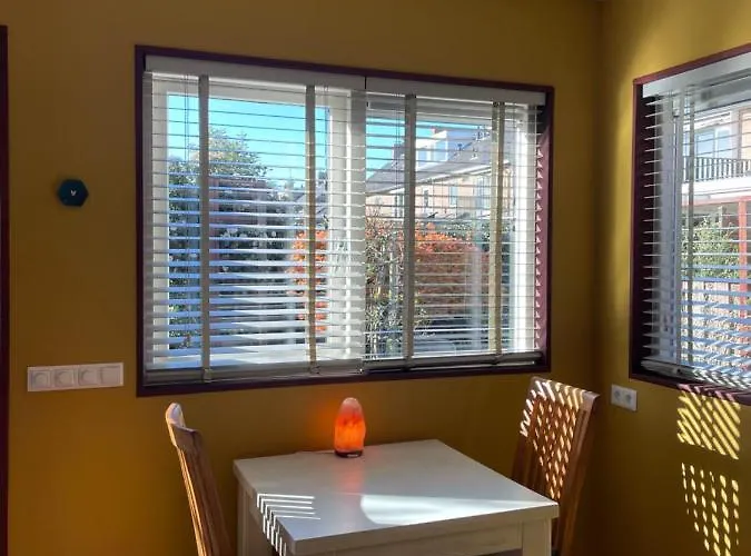 Danina Сассенхейм