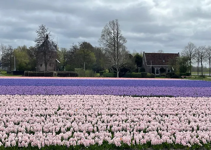Danina Отель типа 