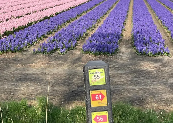 Bed and Breakfast Danina