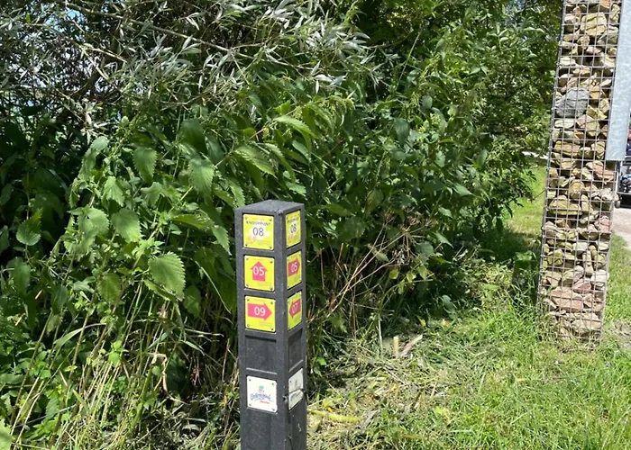 Danina Сассенхейм