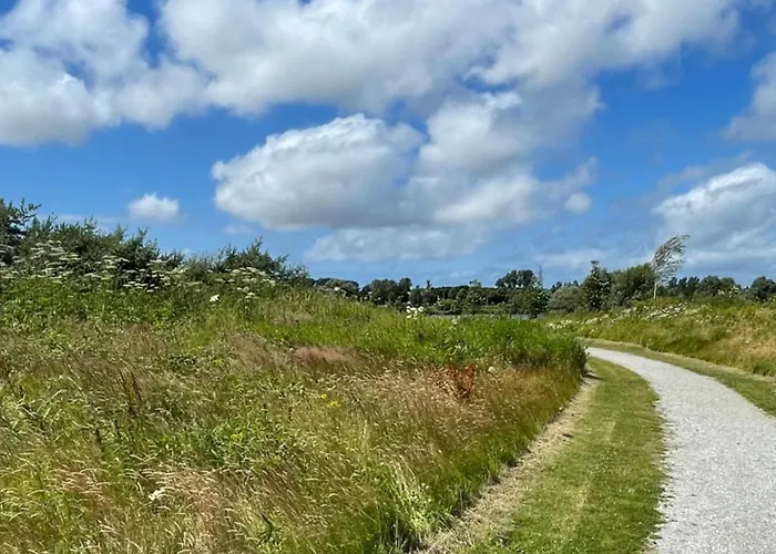 Danina Сассенхейм